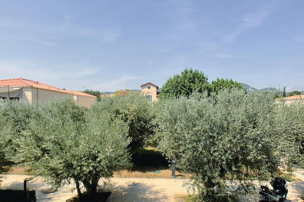 Type Industriel Dans Cadre Provencal