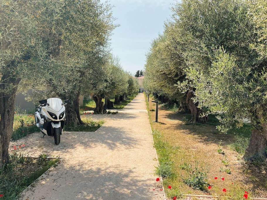 Type Industriel Dans Cadre Provencal